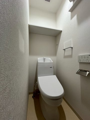 FaseciaPhanesのその他
