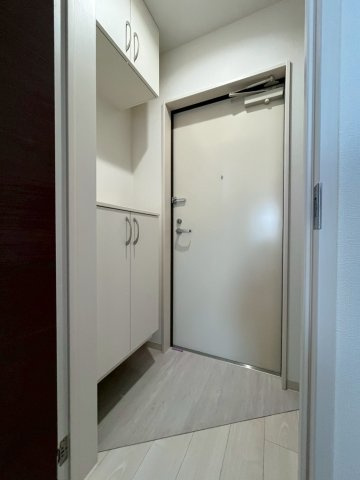 FaseciaPhanesのその他