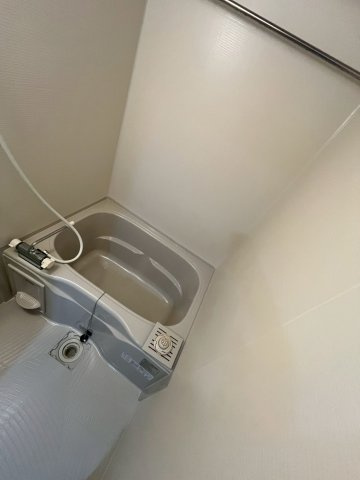 FaseciaPhanesのその他
