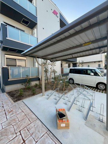 FaseciaPhanesのその他