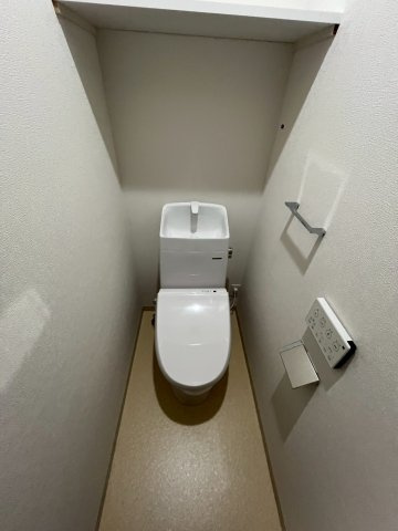 FaseciaPhanesのトイレ