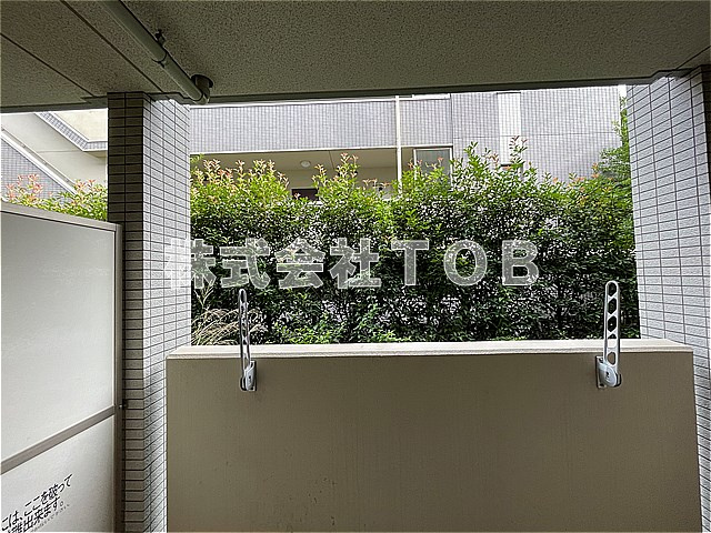 【展望】 | エスペランサ馬部