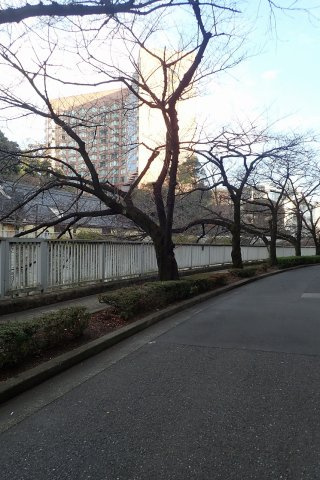 パレヴェール文京の周辺