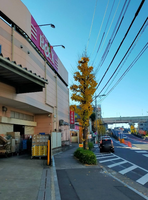 シャンブル綾瀬Ｊの周辺|ベルクス足立綾瀬店 281m