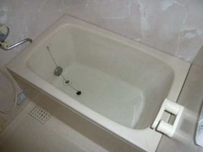バス