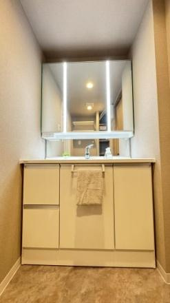 サンロイヤル新田辺アカデミア２号館　中古 マンションの独立洗面台
