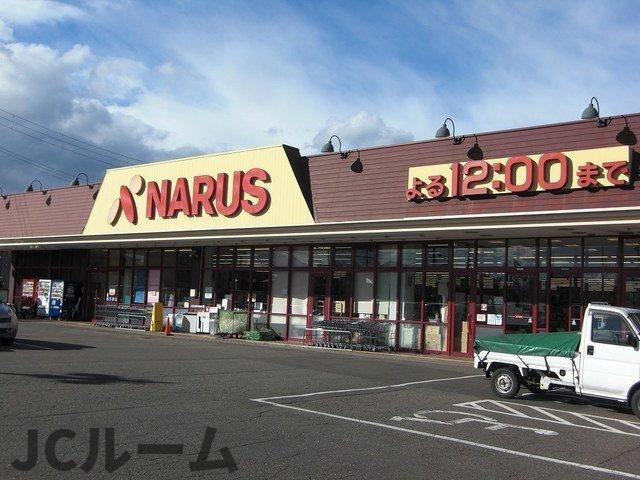 メルティー・アイⅣ　Ｂの周辺|ナルス鴨島店まで500m