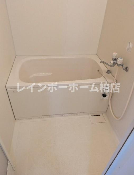 特典：仲介手数料が無料です!!の浴室|お風呂です