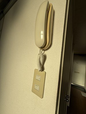 レオパレスピュアグリーンⅡのその他