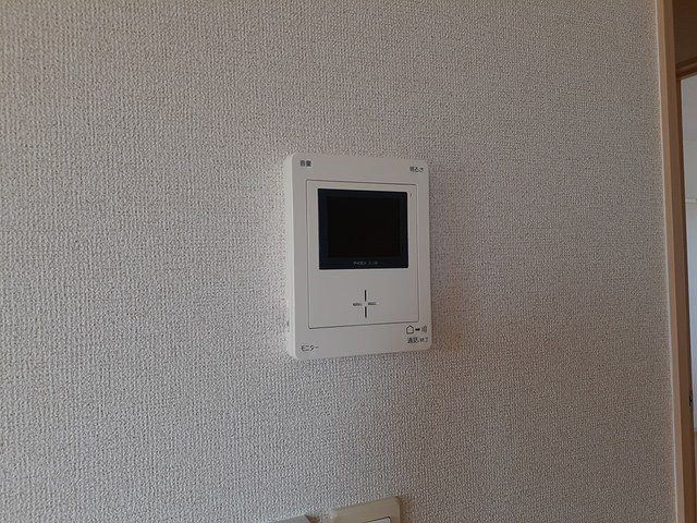 ファンターナのその他