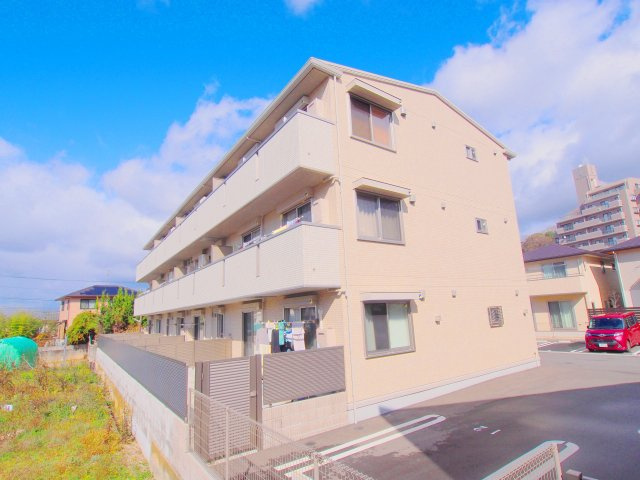 Ｃａｍｐｈｏｒａ　Ｔｒｅｅの外観