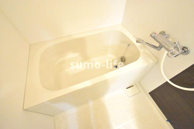 アビタシオンデュプルミエの浴室