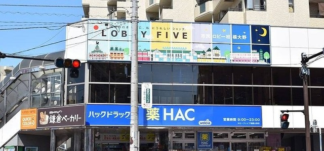フローリッシュ相模大野の周辺