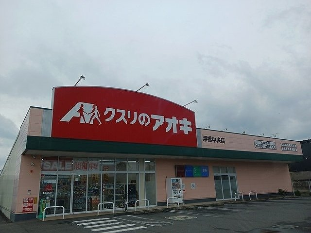 【周辺】 | グレイスフル　栗橋 | クスリのアオキ栗橋中央店まで230m
