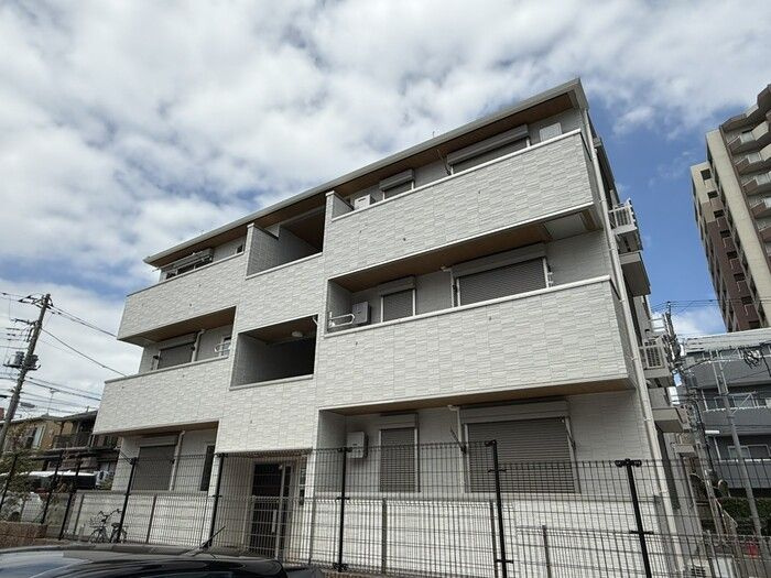 D Paina 大倉山