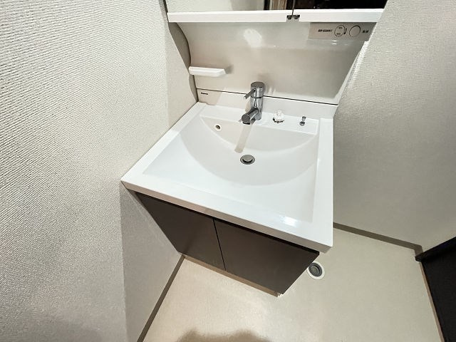 フジパレス仁川Ⅰ番館の洗面所