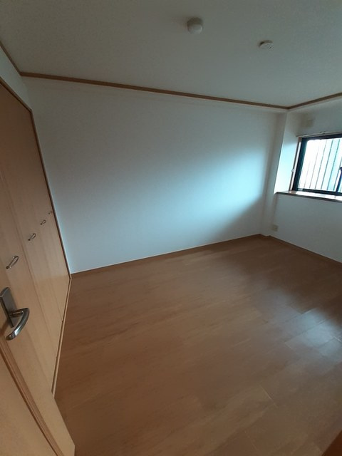 アウローラのその他
