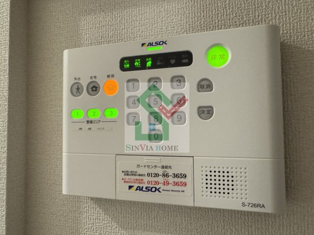 ステラ美光のその他