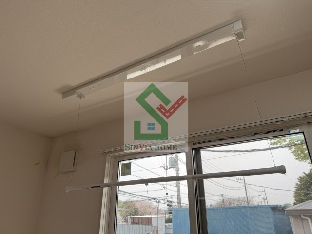 ステラ美光のその他