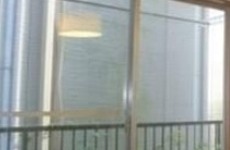 Avenirの展望