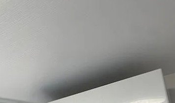 L'Arbreのその他