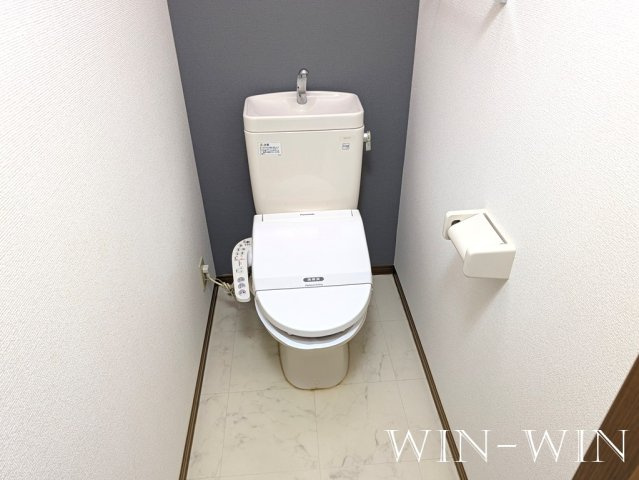 セジュール南 Aのトイレ