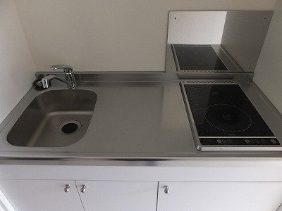 レオネクストグリーン館のキッチン|※写真と現状が異なる場合は現状を優先