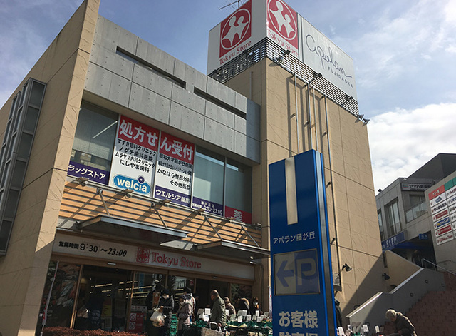 エスコート秋のその他|藤が丘東急ストア