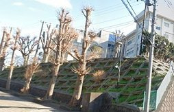 神奈川衛生学園専門学校まで100m
