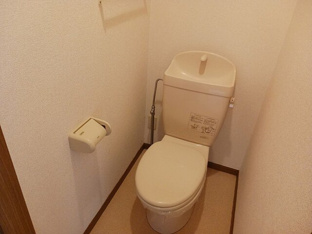 落ち着いた色調のトイレです