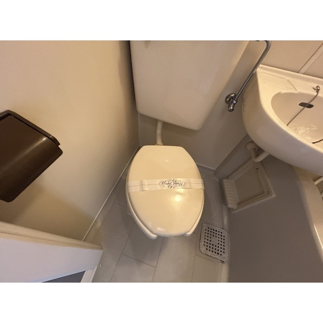 落ち着いた色調のトイレです