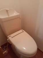落ち着いた色調のトイレです