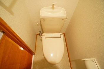 落ち着いた色調のトイレです