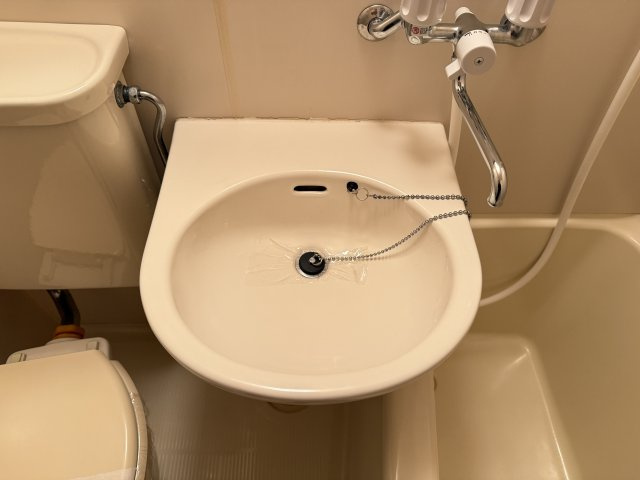 マンションコスモⅢの洗面所