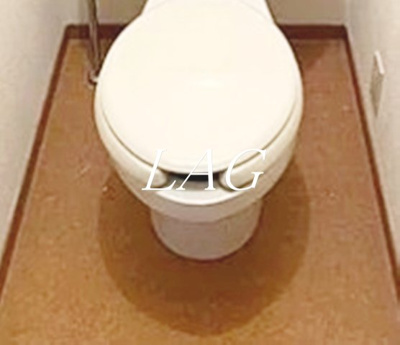 【トイレ】 | リトルハイツ | トイレです。（同仕様です）