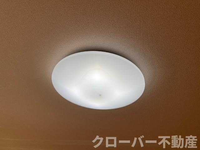 ラ・フォルテⅡの設備|照明器具