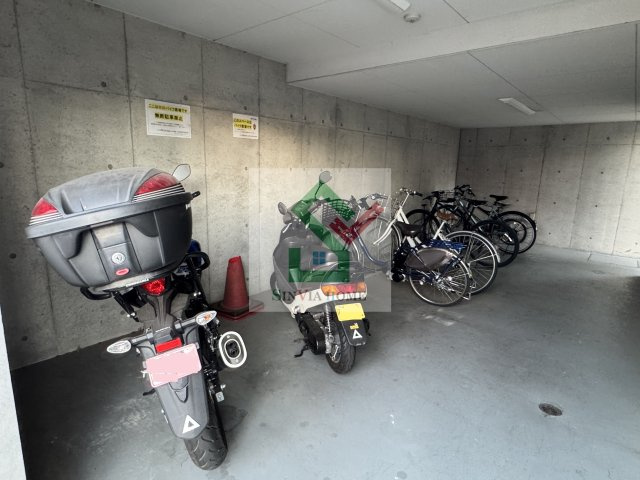 ストーンフォレストのその他