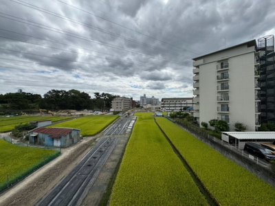 【展望】 | カルム緑地