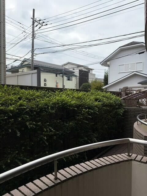 ベルドリームの展望