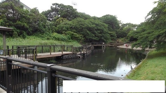 クロスローズ岸根公園の周辺|岸根公園まで150m