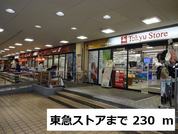 ヒルサイド菊名Ⅱの周辺|東急ストアまで230m