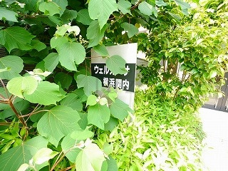 ウェルカーサ横浜関内のその他