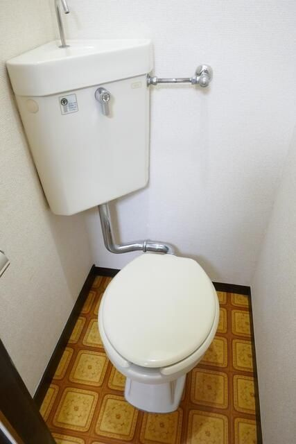 メグ生田目のトイレ|トイレ
