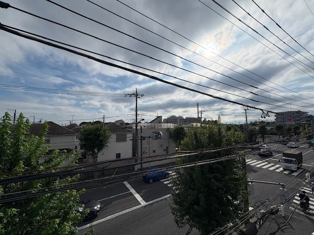 Stone Forestの展望