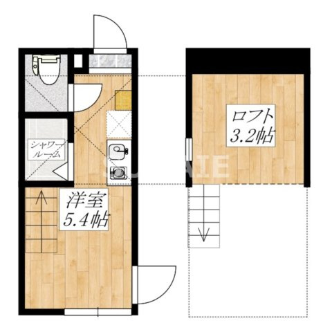 セレストテラス十条の間取り|広いロフトが魅力です☆彡