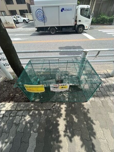 アークラルーチェのその他共用部分