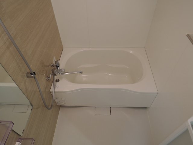 DS南芥川の浴室