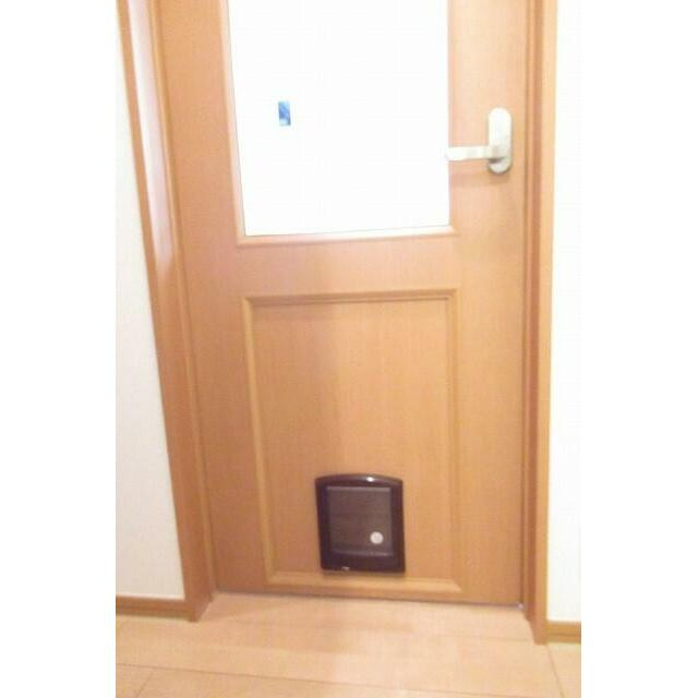 エクセルコートの洋室|同タイプ別のお部屋の写真です