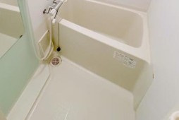 レオネクストホークスの浴室