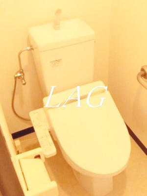 【トイレ】 | ドミールＳ | トイレです。